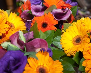 Paul_Bennett_Photography_3_of_941_